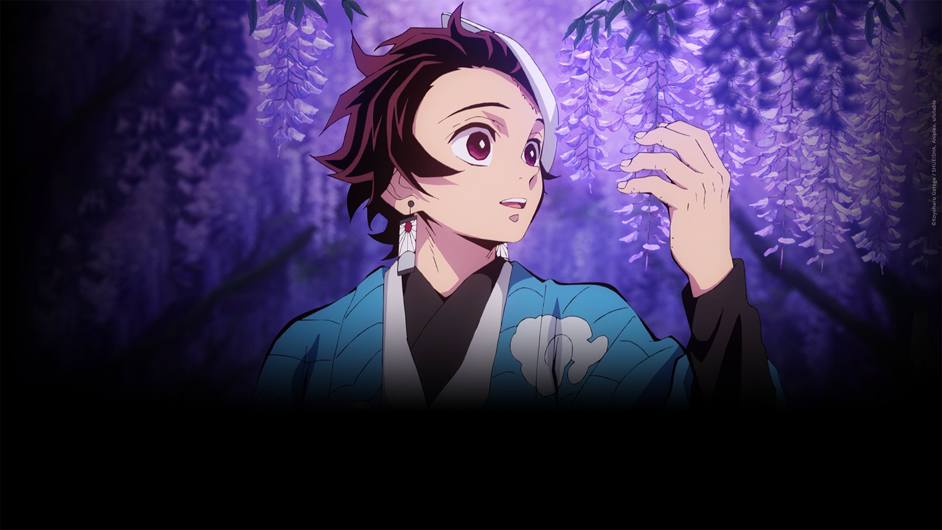 photo de "Demon Slayer"