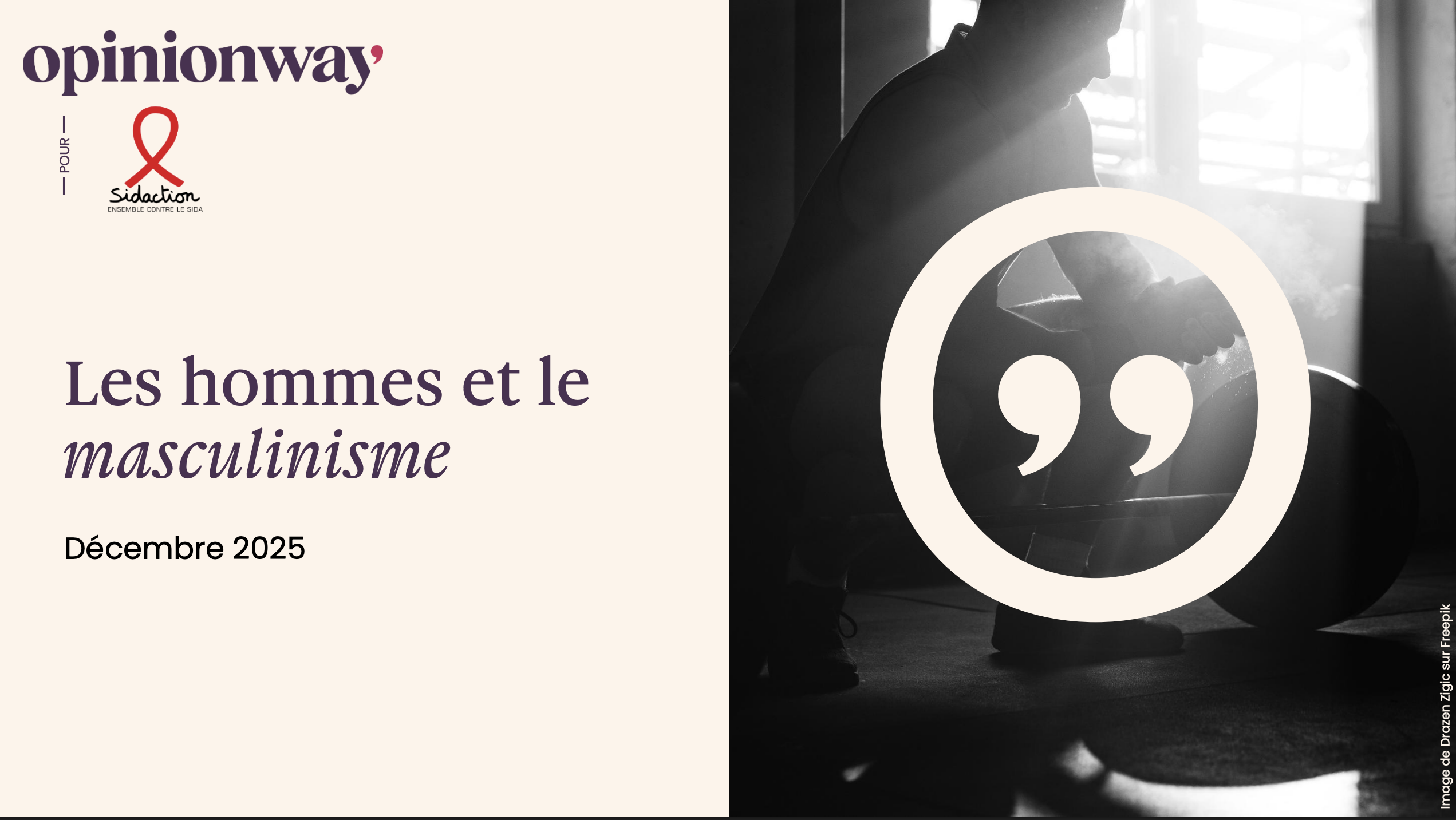 Titre du rapport : les hommes et le masculinisme, décembre 2025